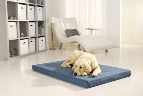 Ein graublaues Hundebett der Serie PULMACELL soft von MEDI-TECH auf dem ein Golden Retriever in einem hellen Wohnzimmer liegt.