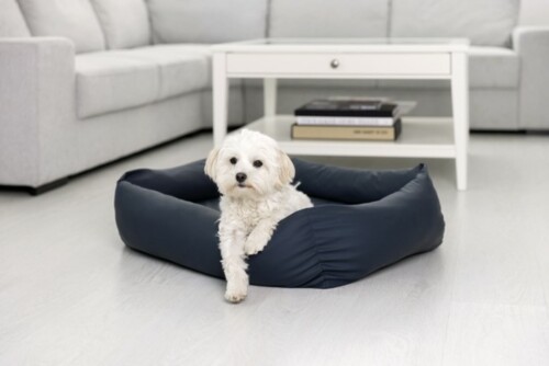 Ein Hundebett der Serie PULMACELL support von MEDI-TECH auf dem ein weißer Hund in einem hellen Wohnzimmer liegt.