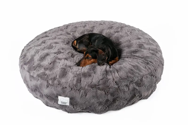 Medi-Tech-Muenster_Pulmacell-cosy-S-grau_00174_gr.jpg