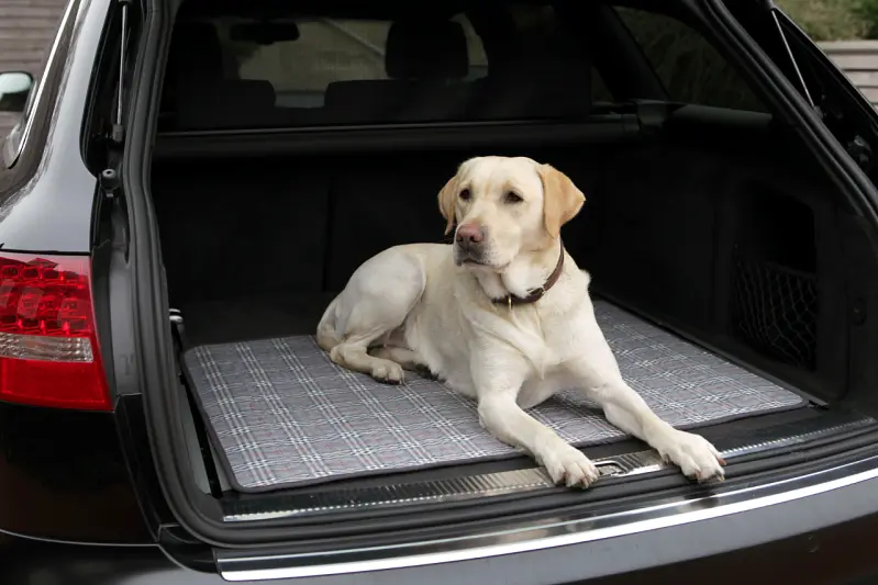 Medi-Tech-PULMACELL-touring-Hunde-Reisematte-Auto.JPG