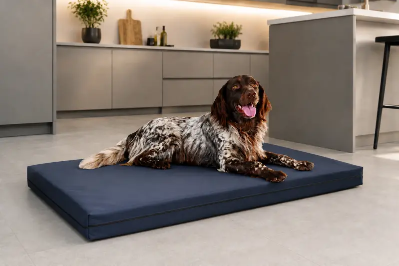 PULMACELL® safe Hundebett