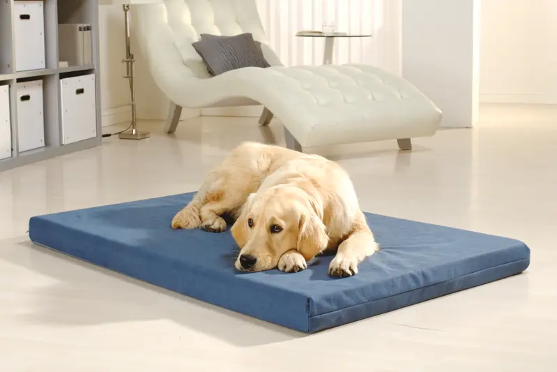 Ein graublaues Hundebett der Serie PULMACELL soft von MEDI-TECH auf dem ein Golden Retriever in einem hellen Wohnzimmer liegt.